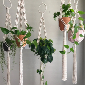 How To Hang Plants From Ceiling Without Drilling | Simple and Easy Steps to Follow