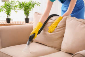 Does Home Depot Rent Upholstery Cleaners?