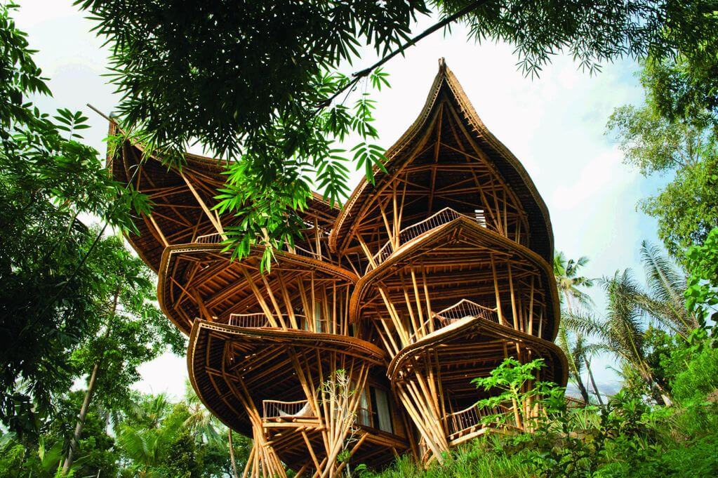 bamboo house