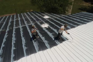 Eco-Friendly Roofing Options for a Sustainable Home