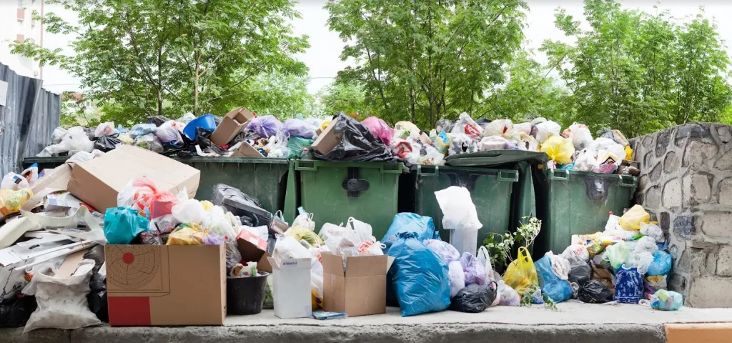 3 Things To Consider Before Starting A Waste Management Business In Ontario   Capture1 1024x480.webp