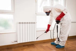 Benefits of Starting a Pest Control Program Before You Move in