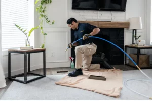 How to Clean Your Home in 10 Easy Steps?