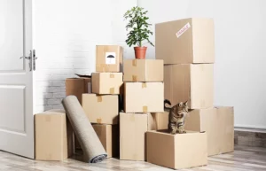 Shipping Box Sizes Demystified: How to Choose the Perfect Box for Your Move