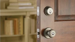 Home Renovation 101: Choosing The Right Door Knobs