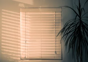 NYC Living, Upgraded: A Guide to Automated Shades