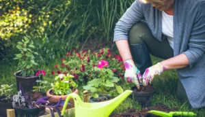 The Impact of Gardening on Home Improvement & Value
