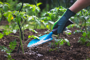 How to Improve Garden Vitality with Organic Plant Foods and Lawn Fertilizers
