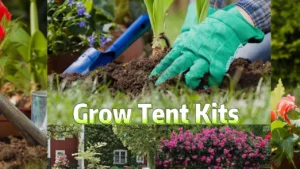 A Complete Guide on How to Set Up a Grow Tent