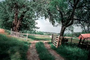 Toolbox Essentials for Country Living