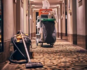 Commercial Carpet Cleaning: Tips and Techniques