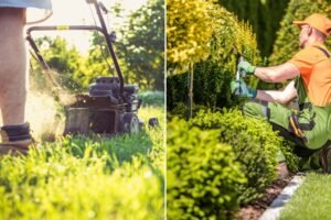 A Guide to Landscaping and Lawn Care for a Healthy, Beautiful Yard
