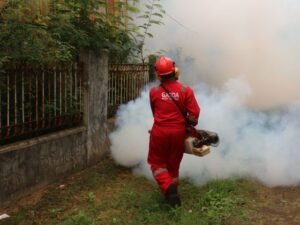 Pest Control in Green Valley: Why Desert Homes Need Specialized Protection