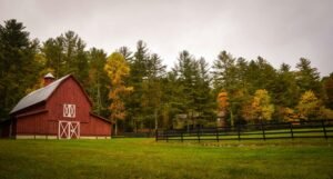How to Maximize Loft Space in Lofted Barn Garages: Storage, Workshop, and Design Ideas